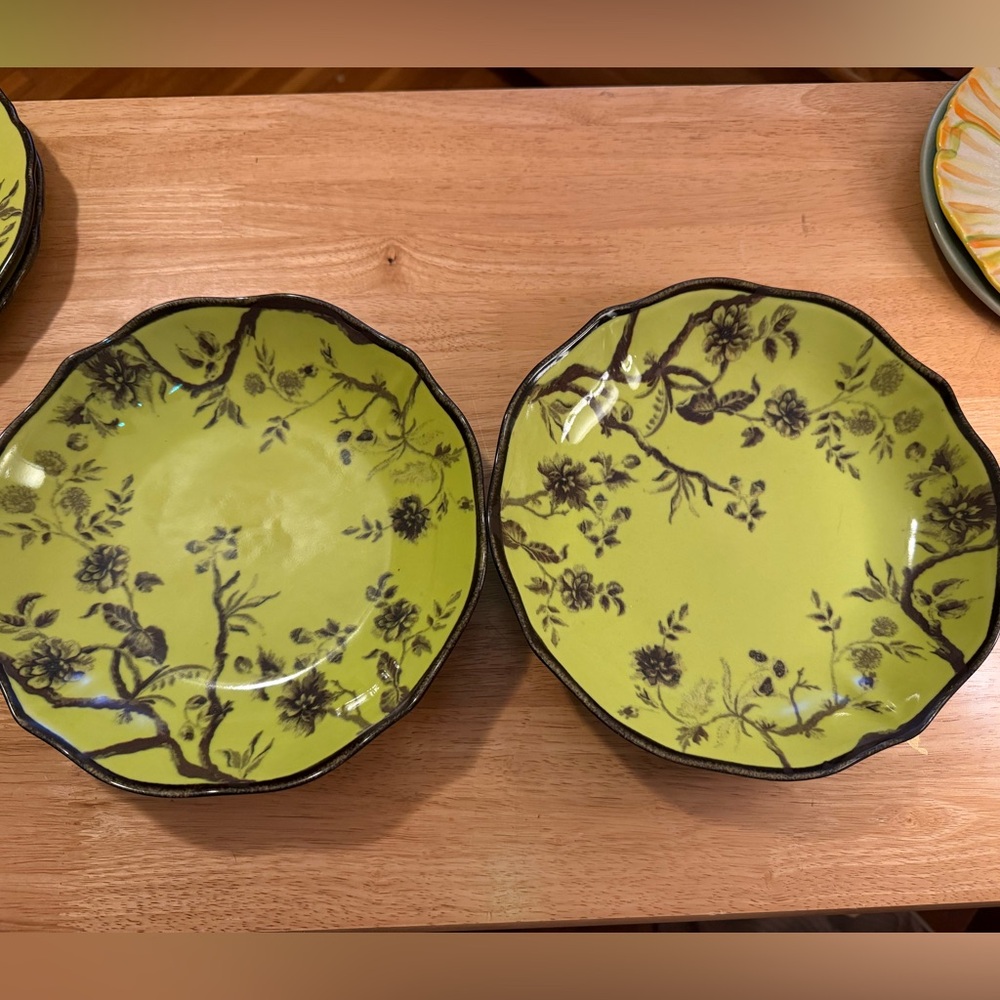 New - set of 2 Anthropologie Green and Black Floral Dinner Bowls